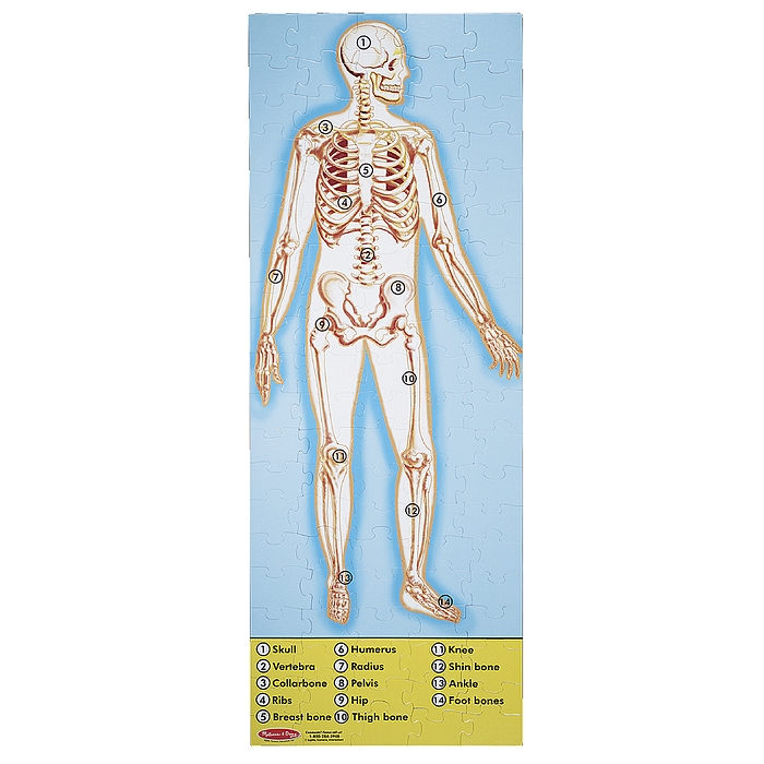 Мега-пазл "Будова людини", 100 елементів Melissa&Doug (MD445) Melissa & Doug
