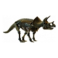 Великий скелет динозавра - Тріцератопс COG (D502) Melissa & Doug